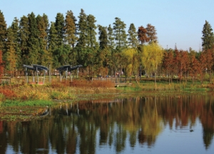 泰興龍河灣公園